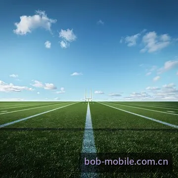 欧冠经典绝杀瞬间动图回放